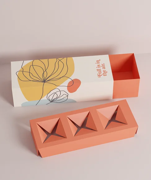 Sleeve and Tray Boxes 3